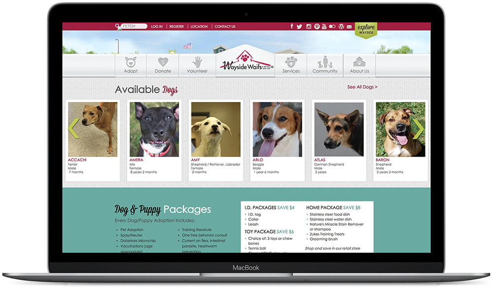 PetBridge | Animal Shelter Software | Wichita, KS