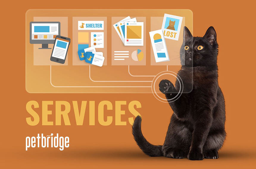 Finding Pets Forever Homes with Shelter Software - PetBridge