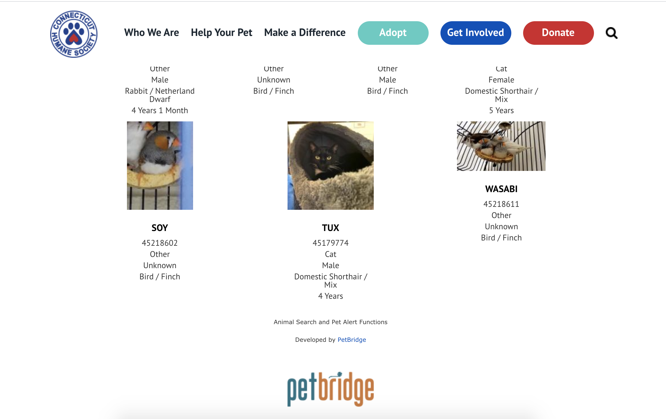 A display of adoptable pets from the Connecticut Humane Society