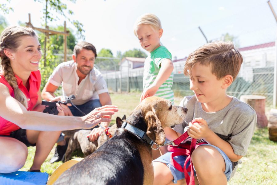 A family with a mom, dad, and two children pet a shelter dog outside.