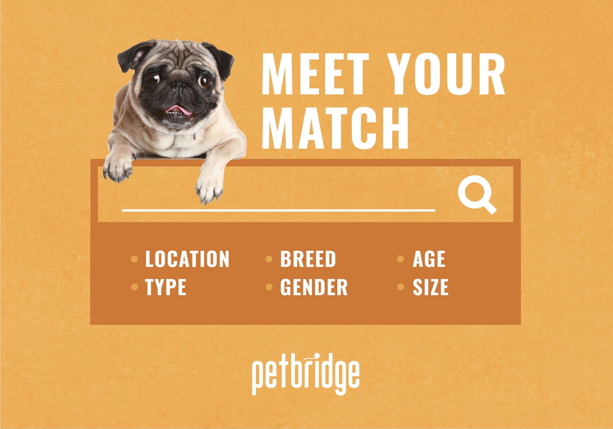 Pet Alerts from PetBridge notify users when an animal that meets their interest is in a shelter