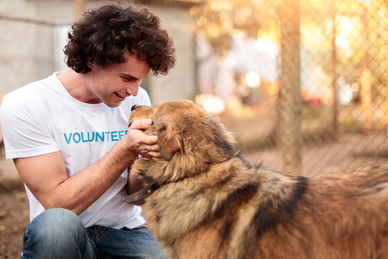 An animal shelter worker pets a dog