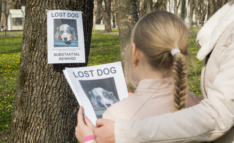 a young child holds a lost dog sign